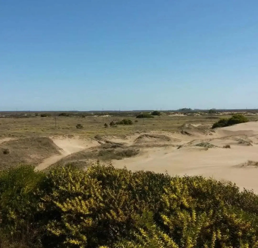 ¡Chacra Frente al Mar con Médanos y Amplias Playas – Las Toninas! - Imagen 6