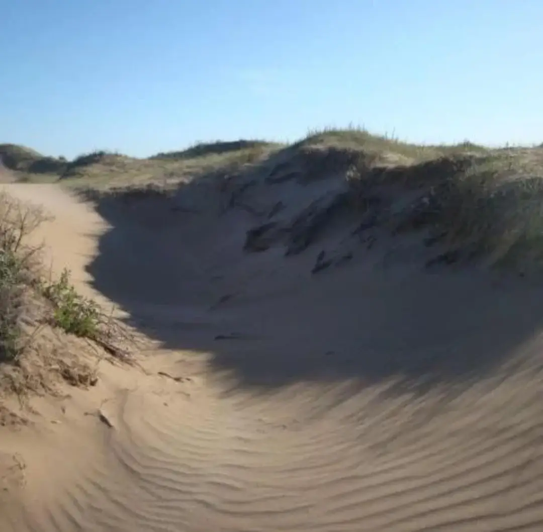 ¡Chacra Frente al Mar con Médanos y Amplias Playas – Las Toninas! - Imagen 7