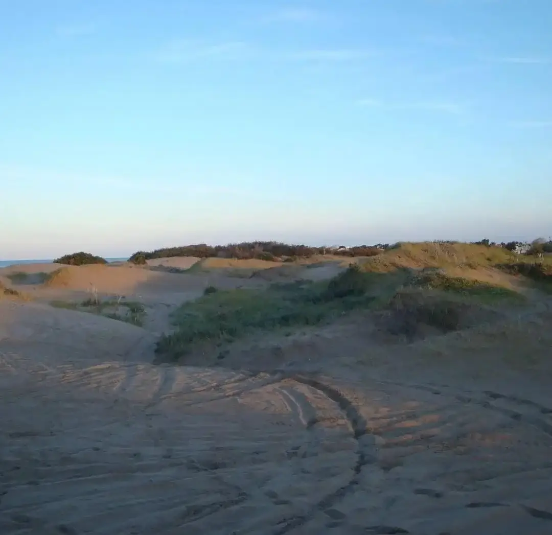 ¡Chacra Frente al Mar con Médanos y Amplias Playas – Las Toninas! - Imagen 8