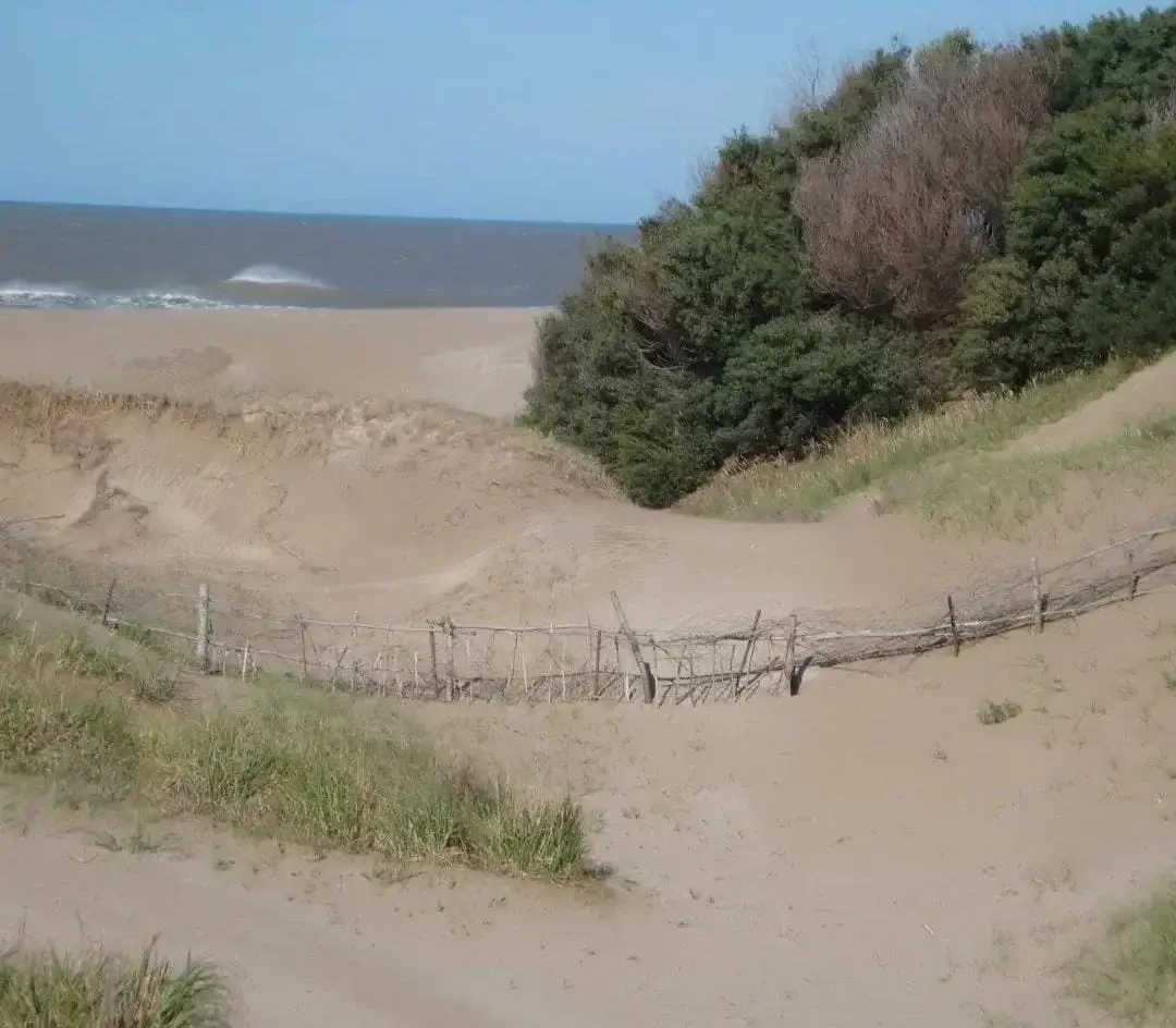 ¡Chacra Frente al Mar con Médanos y Amplias Playas – Las Toninas! - Imagen 10