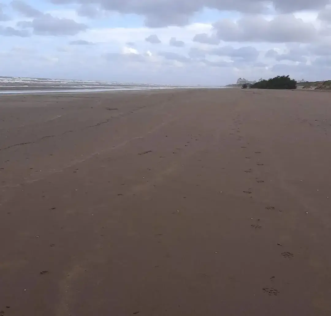 ¡Chacra Frente al Mar con Médanos y Amplias Playas – Las Toninas! - Imagen 13