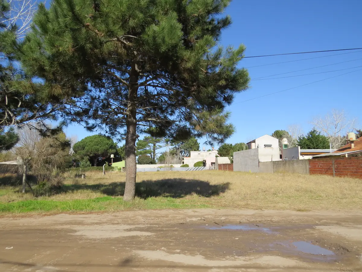 Gran Lote Llano Ideal para Construir – Calle 54 e/ 9 y 11, Costa Chica - Imagen 8