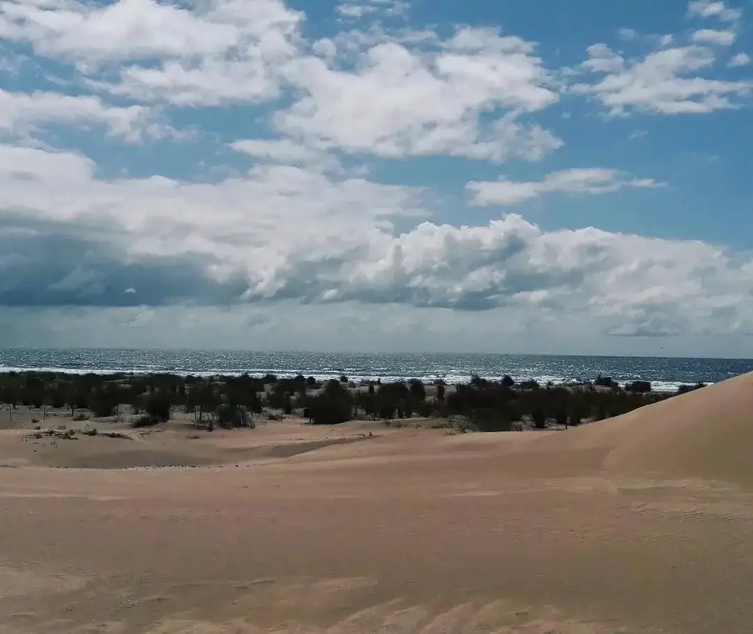 ¡Chacra Frente al Mar con Médanos y Playas Amplias – Las Toninas! - Imagen 4