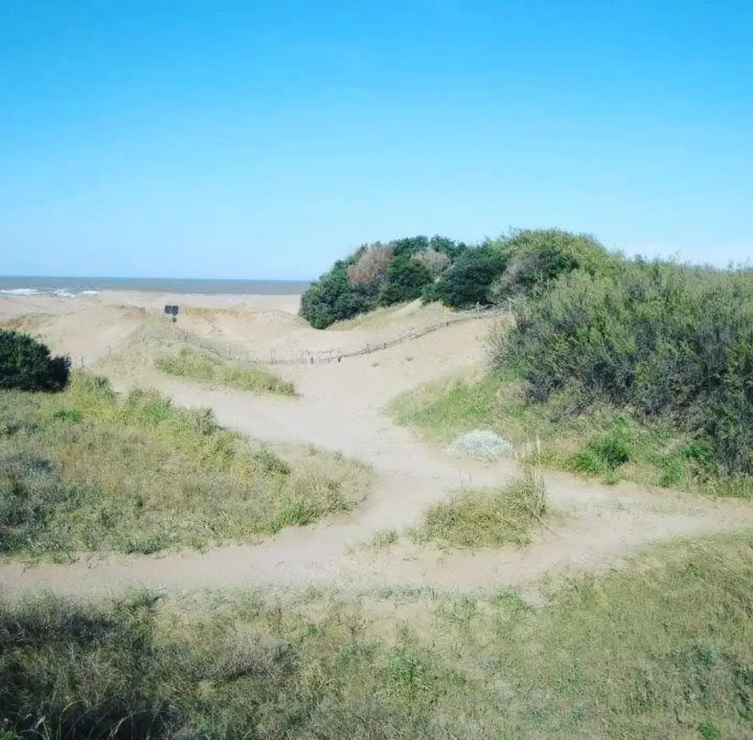 ¡Chacra Frente al Mar con Médanos y Playas Amplias – Las Toninas! - Imagen 9