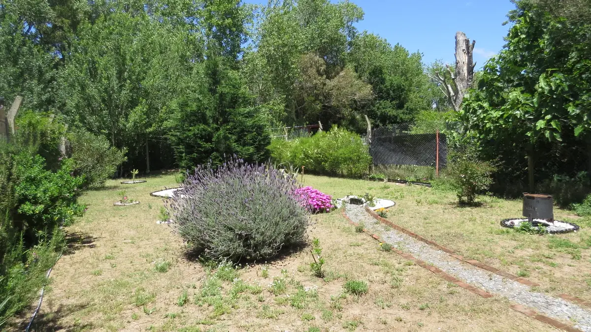 Casa con amplio parque – Calle 42 N°956, Las Toninas. - Imagen 13