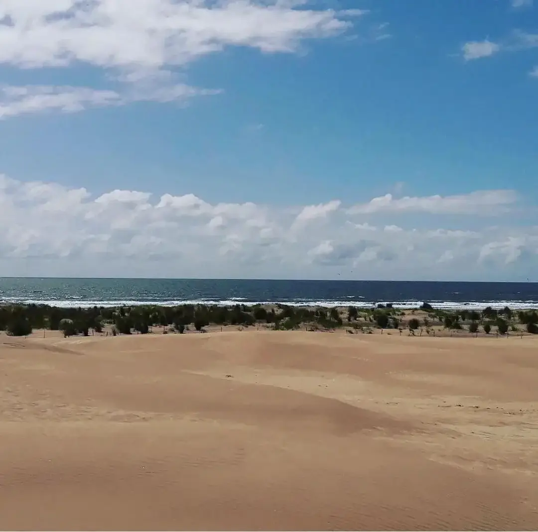 ¡Chacra frente al mar! – Circunvalación Norte, Las Toninas - Imagen 10