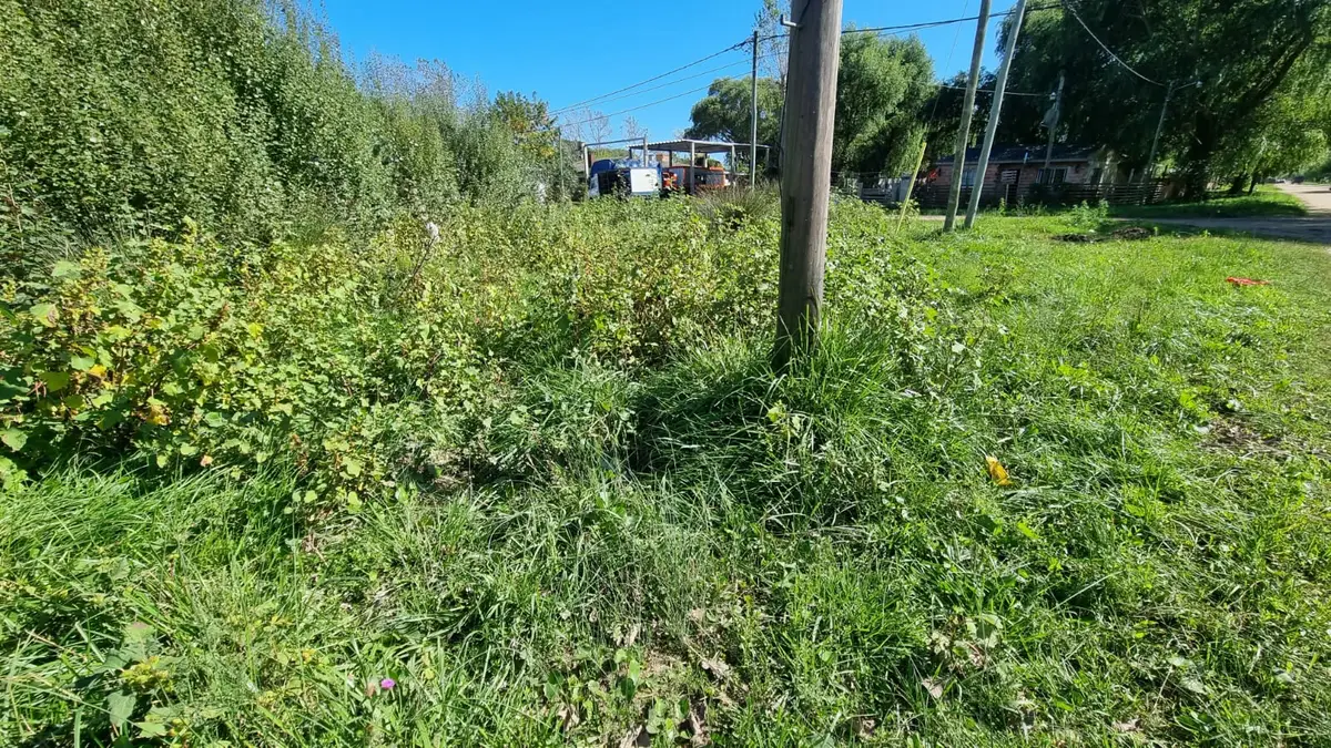 Lote en Venta – Calle 15 e/ 48 y 49, Santa Teresita - Imagen 4