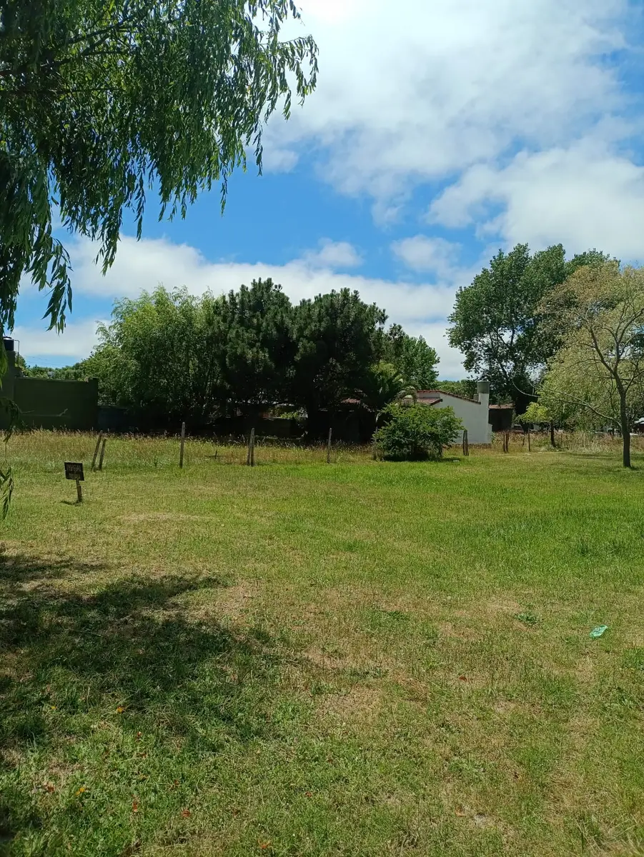 Oportunidad Lote - Imagen 4