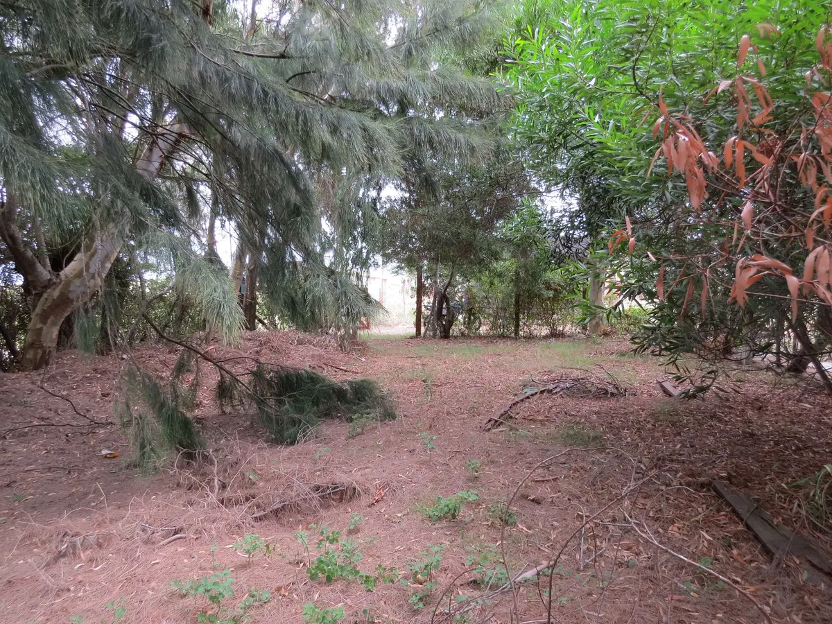 Lote en Costa Chica Frente a los Médanos – Calle 58 N°197, Las Toninas - Imagen 1