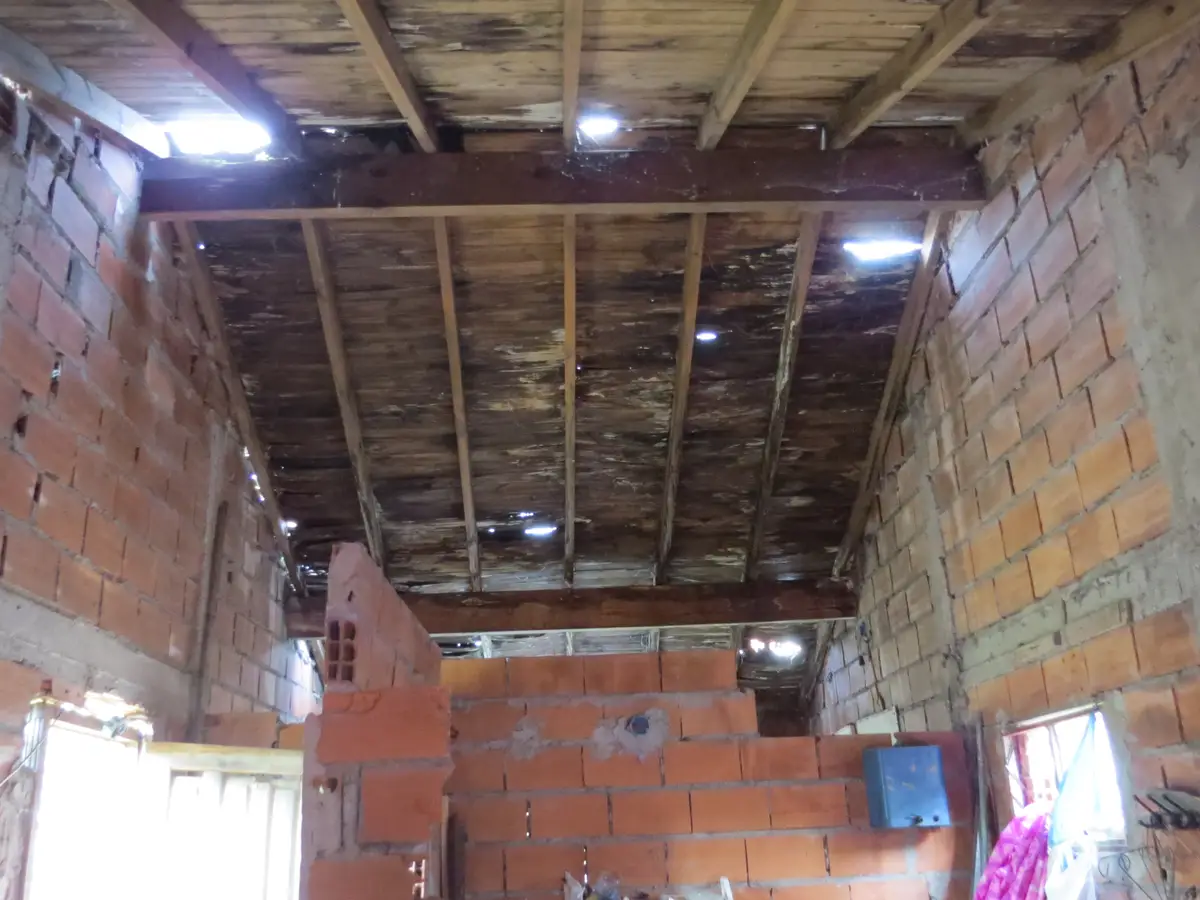 Ideal para Vivienda Multifamiliar e Inversión – Amplio Lote con 3 Construcciones - Imagen 8