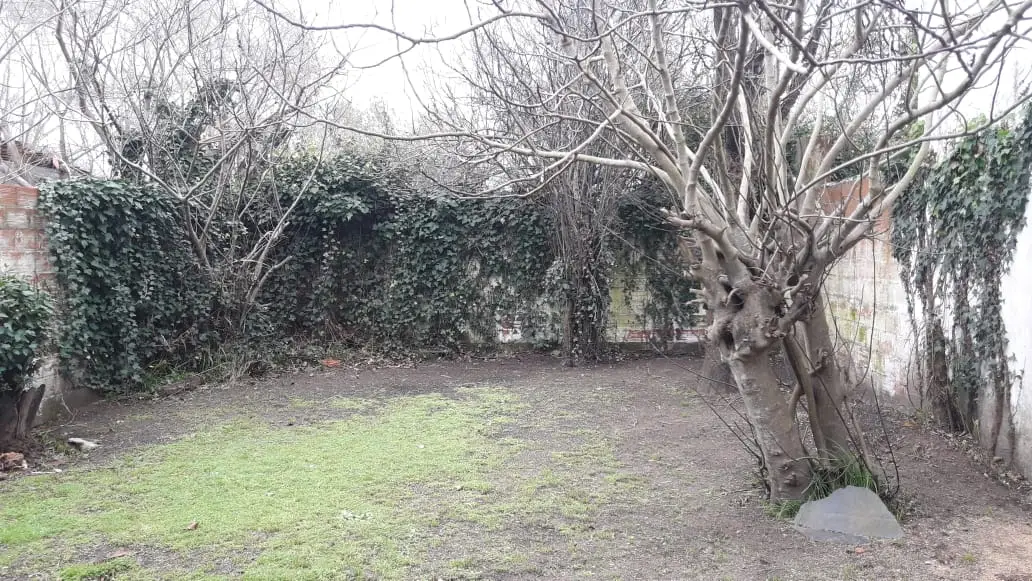 Casa en Venta – Calle 126 N° 269 e/ 103 y 104, Barrio Parque Golf, Santa Teresita - Imagen 13