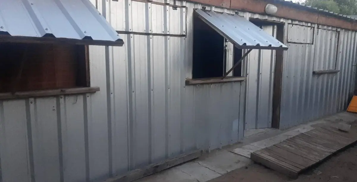 Casa con pileta y excelente ubicación – Calle 11 N°1538, Las Toninas - Imagen 2