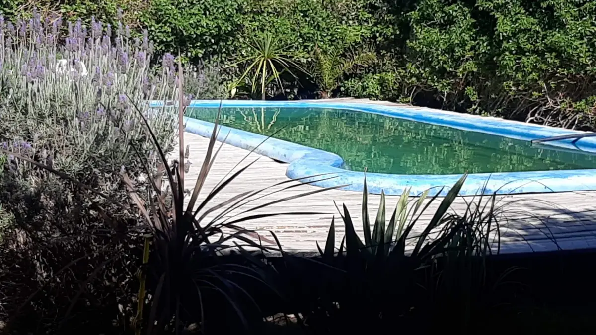 Casa con pileta y excelente ubicación – Calle 11 N°1538, Las Toninas - Imagen 3