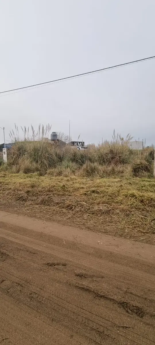 ¡Oportunidad! Lote baldío – Av. 31 e/22 y 24, Las Toninas